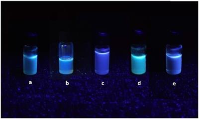 Microwave-Assisted Protocol for Green Functionalization of Thiophenes With a Pd/β-Cyclodextrin Cross-Linked Nanocatalyst